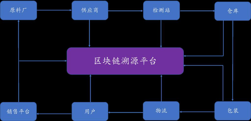 区块链技术开发:构建未来数字经济的桥梁